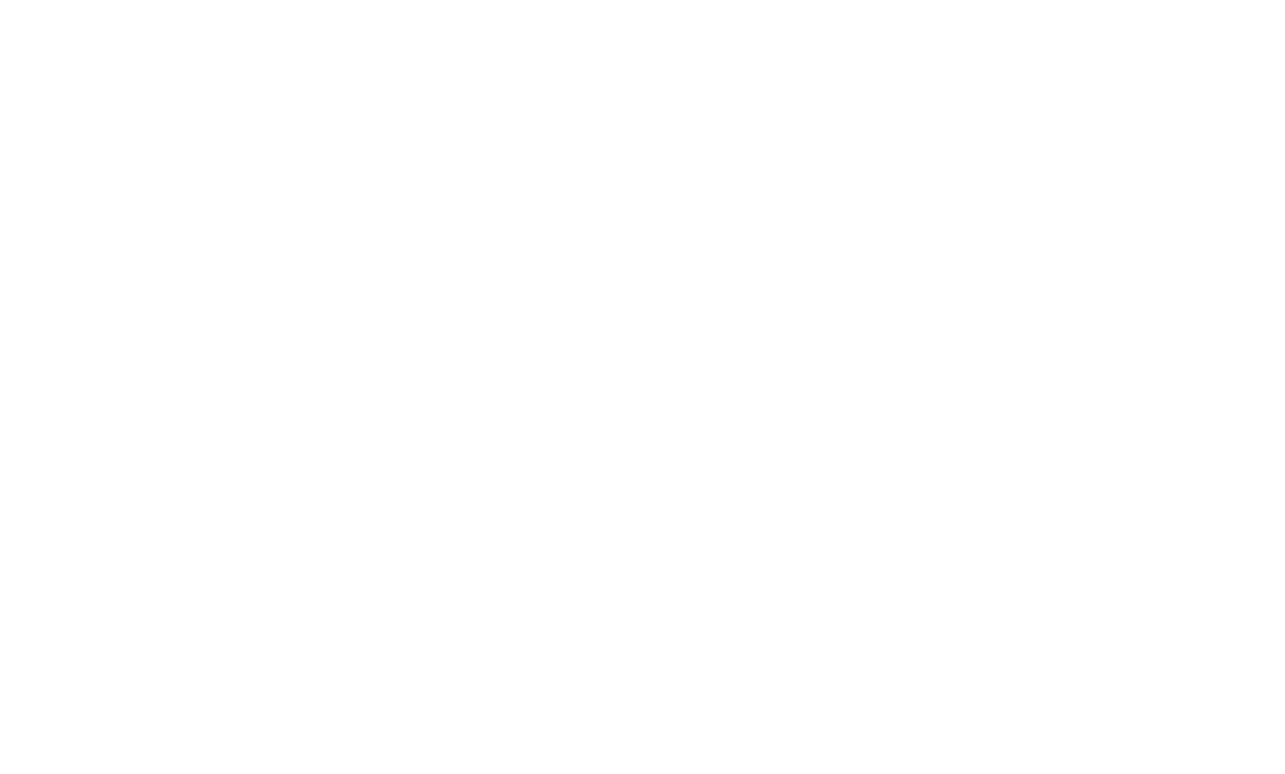 logo asterisco viaggi